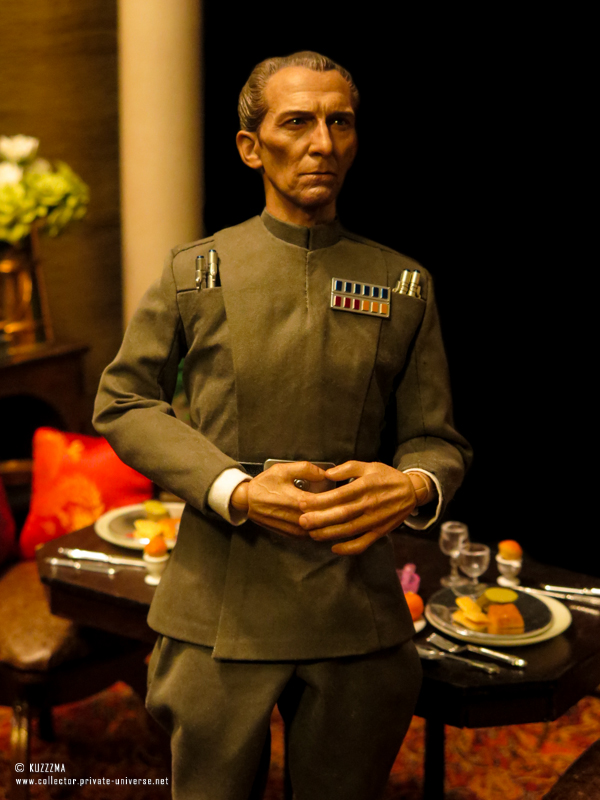 Dinner with General Skywalker