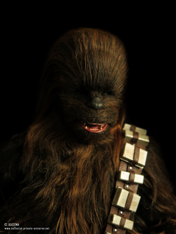 Chewbacca: Portrait