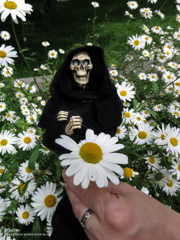 Death: Flowers for..