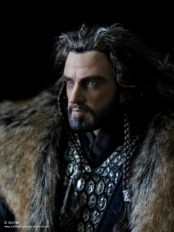 Thorin Oakenshield: portrait  (coat)